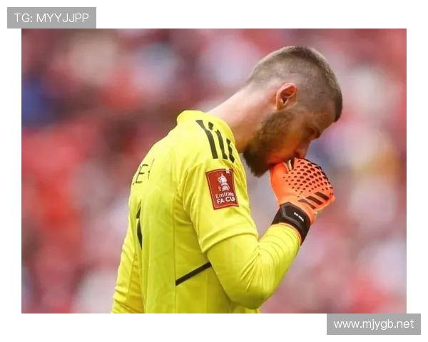 库尔图瓦密集射门下连续神扑能力解析 库尔图瓦密集射门下连续神扑能力解析